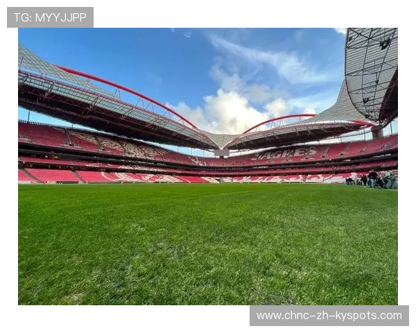 球迷“花式”应援：欧冠舞台上的创意秀，欧冠球场广告